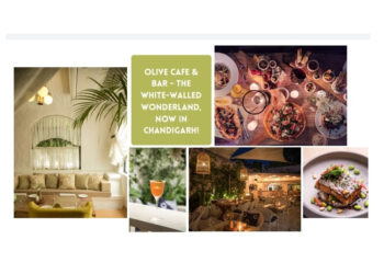 The Olive Cafe & Bar, the white-walled wonderland, opens in the city beautiful