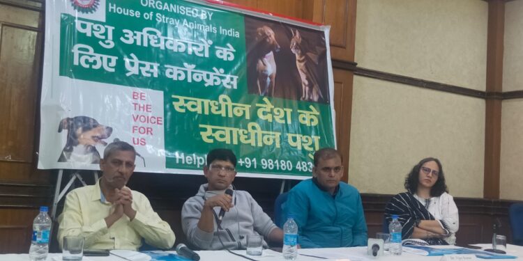 The voiceless animals should have equal rights to live like humans because every life matters