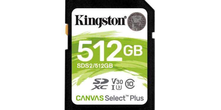 Top Tech Picks for Photography Lovers on World Photography Day