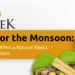 Giloy for the Monsoon: PravekKalp Offers a Natural Shield Against Infections