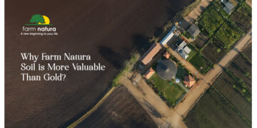 Why Farm Natura Soil Is More Valuable Than Gold