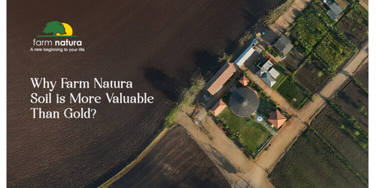 Why Farm Natura Soil Is More Valuable Than Gold