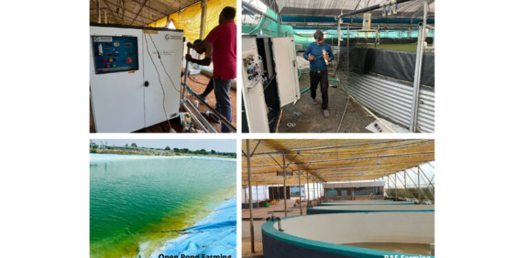 India’s First Nanobubble Pioneer: How Prasinos Made World-Class Technology Affordable for Everyone